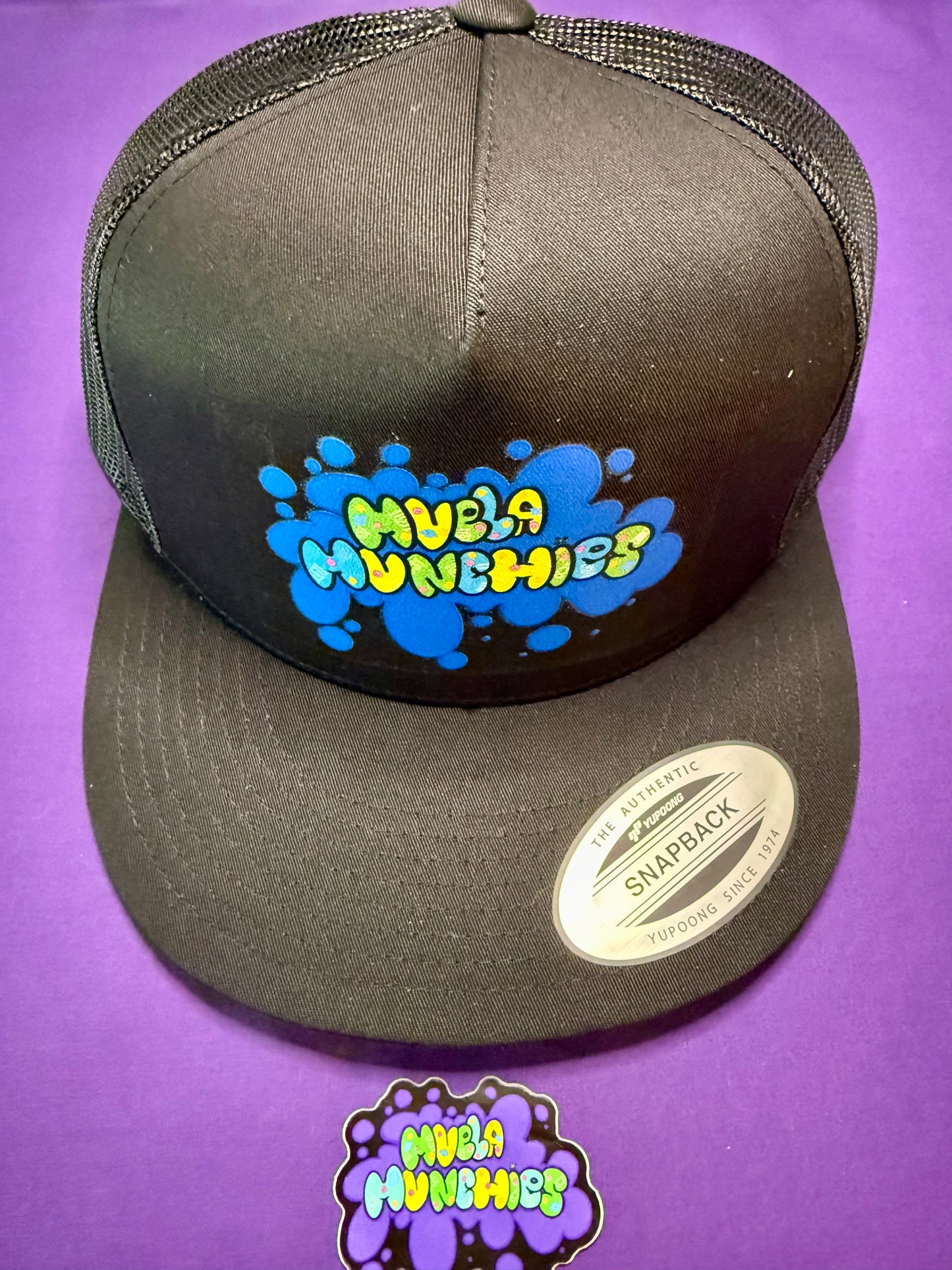 THE SNAPBACK HAT